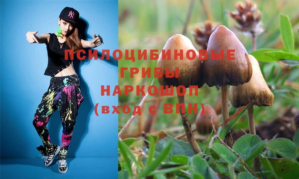 герыч Алексин