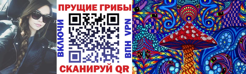 где продают   дарк нет Telegram  Псилоцибиновые грибы мицелий  Приозерск 
